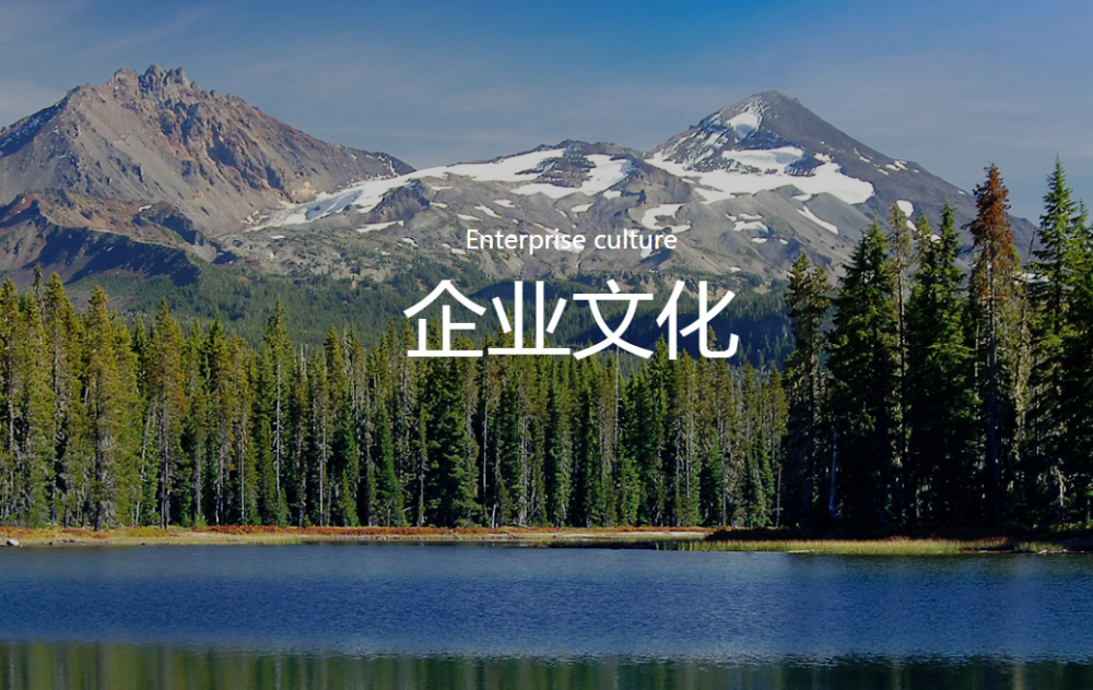 企業(yè)文化 企業(yè)文化